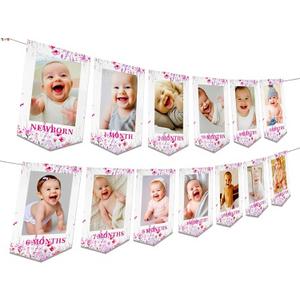 JeVenis Wildflower First Birthday Decorations Birth Month Flower Picture Wildflower 12 Months Photo Banner Wild Flower Party Decorations