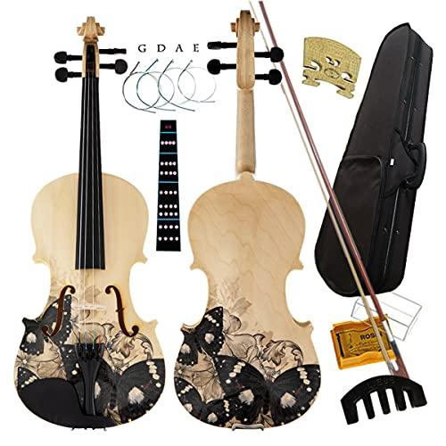 Aliyes Distinctive Artistic Violin Set Designed for Beginners/Students/adults with Hard Case,Bow,Extra Strings (4/4/Full-size)