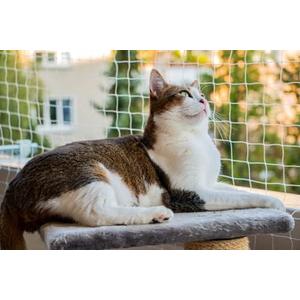 Cat Balcony Netting 10 * 20ft Cat Anti-Fall Netting Duralble Nylon Balcony Screen for Pets Pet Safty Netting for Balcony, Windows and Patio