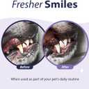 Dental Fresh Enzymatic Gel Finger Toothbrush Kit for Dogs, Includes Finger brush and Toothbrush  Teeth Cleaning