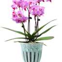 5" Ceramic Orchid Pot with Holes | Crackle Glazed Pot with Drainage and Separate Saucer | Ideal Plant Pot for Repotting Orchids and Other Flowers (Blue) (Round)