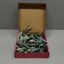 Hairui Lighted Artificial Olive Garland 6FT 96 LED Fairy Lights Battery Operated, Faux Vine Lights with Timer for Spring Christmas Holiday Fireplace Decoration