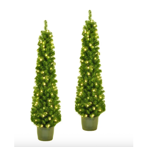 5' Pre-Lit Clear Incandescent Potted Trees, Set Of 2