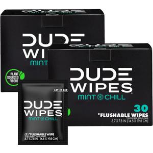DUDE Wipes On-The-Go Flushable Wet Wipes - 30 Count, Pack of 2 - Mint Chill Extra-Large Individually Wrapped Wipes with Eucalyptus & Tea Tree Oil - Septic and Sewer Safe