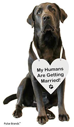 Pulse Brands Engagement Photo Prop Sign - My Humans are Getting Married - Engagement Gifts - Bride to Be - Engaged - Engagement Gifts for Couples (White) Pack of 3
