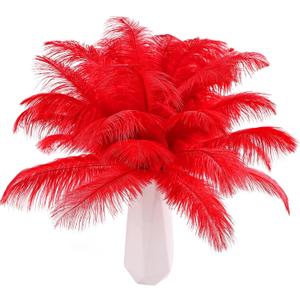 THARAHT Red Ostrich Feathers 24pcs Natural Bulk 10-12Inch 25cm-30cm for Crafts Wedding Party Centerpieces Halloween and Home Decoration Feathers