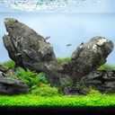 LANDEN Seiryu Stones Natural Rocks (17lbs, 3~11 inches,7-8pcs) for Aquarium, Paludarium, Terrariums, Landscaping Rocks, Aquascaping