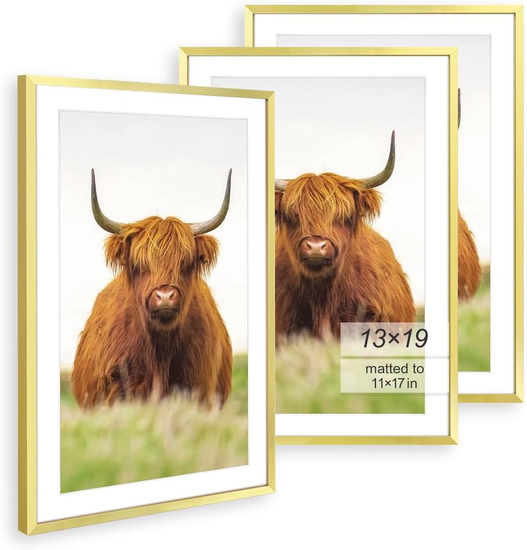 Golden State Art 13x19 Picture Frame Set of 3, Modern Gold Thin Border - Display 11x17 with Mat or 13x19, Wall Hanging Photo Frames