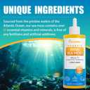 Sea Moss & Ashwagandha Root Drops - 10X Stronger Seamoss & Ashwagandha for Women & Men, Sea Moss Drops for Mood, Immunity, Digestive, Energy, Skin, Hair JointLemon Flavour - 80 Servings