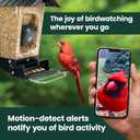 Perky-Pet Solar Powered Smart Bird Feeder with Camera - Squirrel-Resistant, 3.2L Capacity, Motion Activated 1080p HD WiFi Live Stream Camera, SPCAM, SPCAMSLR - Camera Feeder Gift Idea, Forest Green