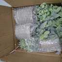 3 Pack Life-Like Potted Fake Plant, Artificial Plants Indoor, Artificial Frost-Hung Green PlantsNo Need for MaintenanceSuitable for Desktop or Shelf Decoration in Homes and Offices