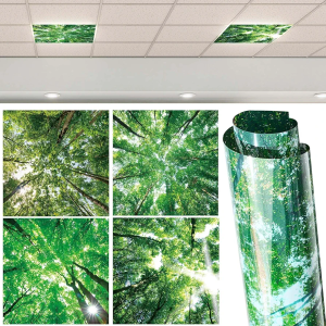 Amylove 2 Pcs Light Covers Classroom Ceiling Panels Light Filters with Backlit Film Material for Office School Home Hospital Decor, 4 x 2 Feet(Forest)