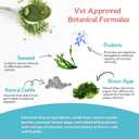 3 x Natural Dog Dental Powder - Teeth Cleaning Powder - Removes Plaque and Tartar - Breath Freshener - Contains Probiotics to Fight Bad Breath - Large Size for Multi-Dog Households (7.05 Oz)