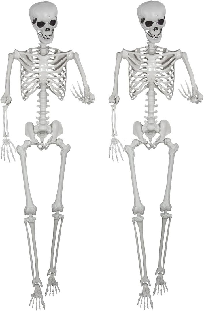 5.9ft Halloween Life Size Skeleton Realistic Full Body Skeletons Plastic Human Bones with Movable Joints for Halloween Props Spooky Party Decoration (2, 5.9ft)