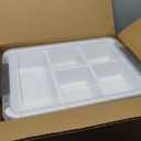 Citylife 17 QT Plastic Storage Box with Removable Tray Craft Organizers and Storage Clear Storage Container for Organizing Bead, Tool, Sewing, Playdoh