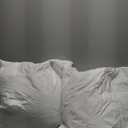 MIULEE 18 x 18 Pillow Inserts (Set of 2) -Decorative Throw Pillows for Couch Sofa with 100% Cotton Covers