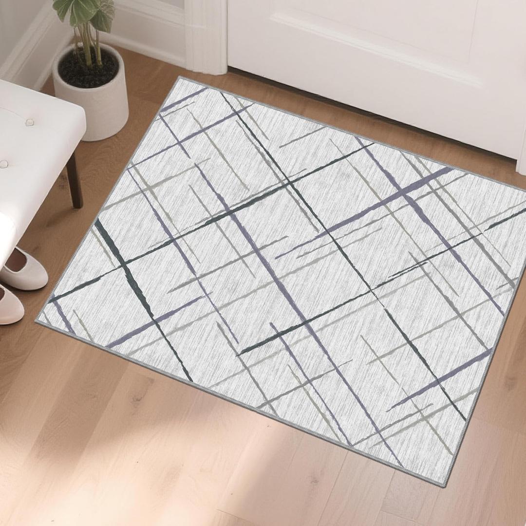 Modern Indoor Entryway Rug, 2'x3' Small Rugs for Entryway Indoor, No Pile Tear and Stain Resistance, Non-Slip, Hand Woven Style Washable Thin Rugs for High Traffic Door Mat Entrance- White