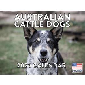 Australian Cattle Dog Calendar 2026 Monthly Wall Calender 12 Month | American Made In The USA
