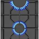GASLAND 2 Burners Gas Cooktop 12 Inch GH30EF Drop-in Propane Stove Top with Thermocouple Protection, LPG/NG Convertible Dual Fuel Natural Gas Hob, Black