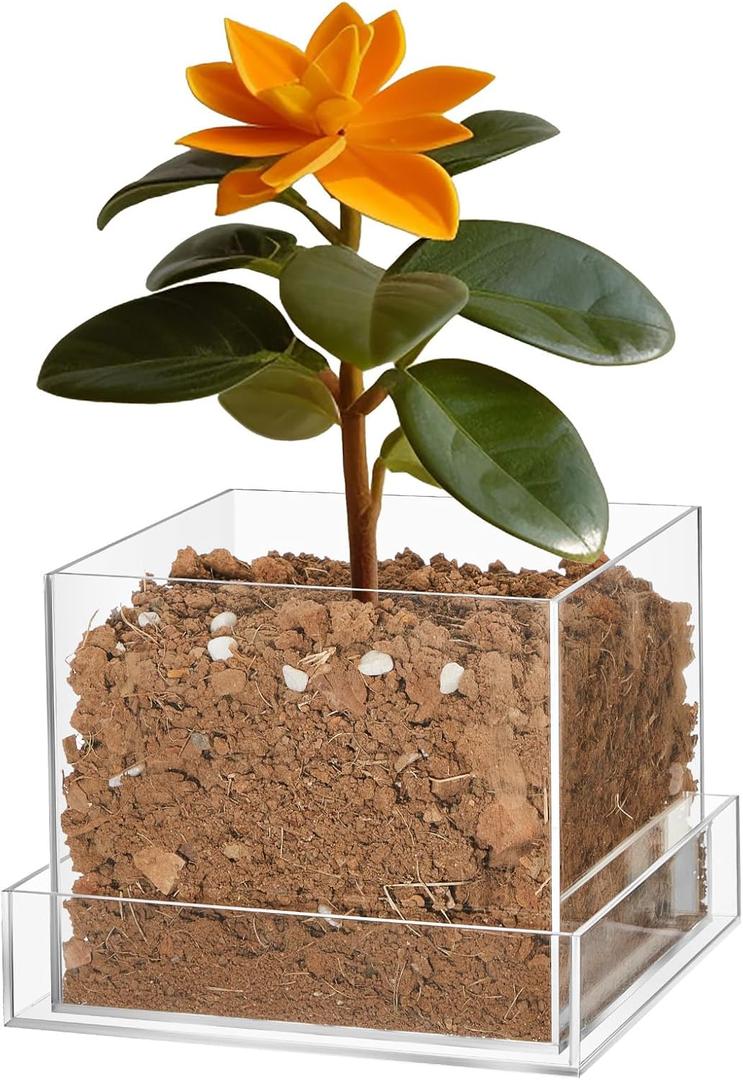 Clear Plant Nursery Pots Acrylic Orchid Pots with Drainage Holes and Tray Transparent Planter for Indoor Plants, Succulents, Herb, Flowers and Cactus Decorative(8 Inches,Square)