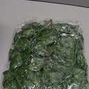 100 Pcs Fake Vines Bulk Artificial Ivy Garland Greenery Hanging Vines Green Leaves Plants for Bedroom Wedding Garden Home Wall Jungle Themed Party Decorations (722ft)