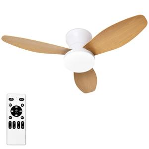Glowall Small Ceiling Fan with Lights and Remote, 25'' Flush Mount, Modern