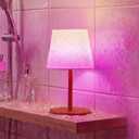 EZVALO Spa-Like Shower Lamp  Waterproof Bathroom Lamp with Remote, Rechargeable Cordless Mood Light, 3 Color Temps & 80 RGB Colors for Relaxing Bathroom & Bathtub Experience (1 Pack) (RGB-Wood Grain)