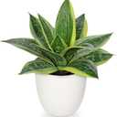 Hollyone Artificial Snake Plants 9" Faux Agave Succulent Plant Potted in White Pot Fake Sansevieria Aloe Tropical Plant for Desk Modern Office Home Bathroom Indoor Outdoor Decor (Green #3)