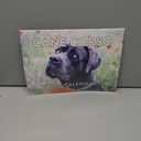 Cane Corso Calendar 2026 Wall 12 Month Monthly Cane Corsos Gifts For Cane Corso Lovers Women Men Mom Dad | American Made In The USA