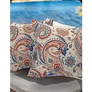 Oeko Tex Standard 100 Paisley Print 2pc Pillow