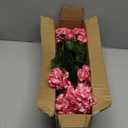 Artificial Geranium Fake Flowers for Outdoors Decoration, 6 Bundles Silk Geraniums Pink Flower UV Resistant Look Real Faux Plants for Outside Planter Front Door Garden Porch Patio Balcony Yard Home