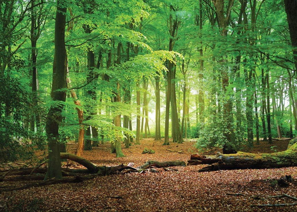 SJOLOON 9X6ft Spring Green Forest Thin Vinyl Photo Backdrops Camping Themed Baby Shower Photography Background Studio Props 10516