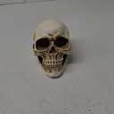 READAEER Resin Skull, Human Head Model for Home Decoration, Halloween Statue, Skull Model for Bookshelf and Desktop (White)