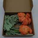 6 PCS Artificial Ranunculus Flowers with Real Touch Stem Silk Ranunculus Flowers for Household Arrangement (Light Orange)