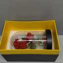 Valentines Day Gifts for Her, Beauty and The Beast Rose in Glass Dome, Anniversary Rose Gifts for Wife, Valentines Flowers Birthday Gifts for Women, Romantic Red Silk Rose Flower Gifts for Women