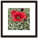 SKAOTUS 14x14 Picture Frame Black Solid Wood for Mat 10x10 Wall Mounting Square Poster Photo Frames