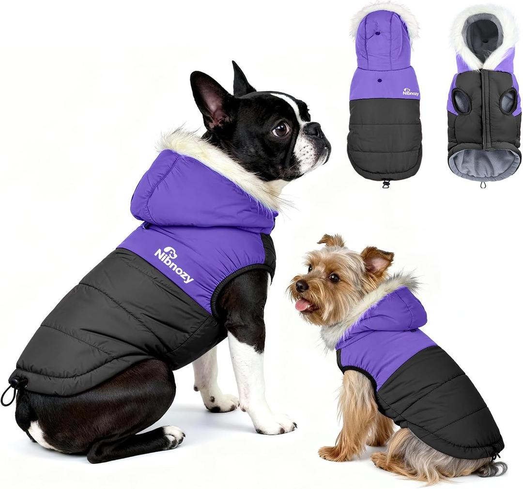 Dog Winter Coat with Hood, Fleece Lined Waterproof Dog Jacket,Warm Snowsuit for Small Medium Dog (M(Chest:21.3", Back: 15.7"), black&purple)