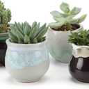 T4U Mini Ceramic Succulent Pots with Drainage - Set of 6, Tiny Pots for Plants, Home and Office Decor, Plant Lover Gifts for Women (Flowing Glazed)
