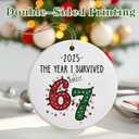 Six Seven Christmas Ornament, 67 Meme Ornament, Six Seven Ornaments, Funny Christmas Ornaments 2025, Teen Gen Alpha Xmas Gift, 67 Meme Gift, Stocking Stuffers for Teens, Funny Teacher Gifts 2025