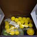 XINNOVEL Movable Dinosaur Shooting for Toys Kids 4-6, Electronic Kids Target Games w/Air Pump Launcher, LCD Score Record, Sound, 24 Foam Balls, Birthday Gifts for 3 4 5 6 7 8 9 Year Old Boys Girls