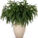 12 Pcs Artificial Norfolk Pine Christmas Branches, 17.8 Inch Ultra Realistic Faux Evergreen Picks for Christmas Garland Wreath Making, Home Decor & DIY Crafts