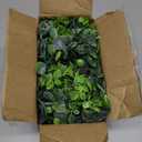 DearHouse Faux Eucalyptus Garland Plant, 2 Pack Artificial Vines Hanging Eucalyptus Leaves Greenery Garland for Wedding Backdrop Arch Wall Decor, 6 Feet/pcs UV Protected Indoor Outdoor