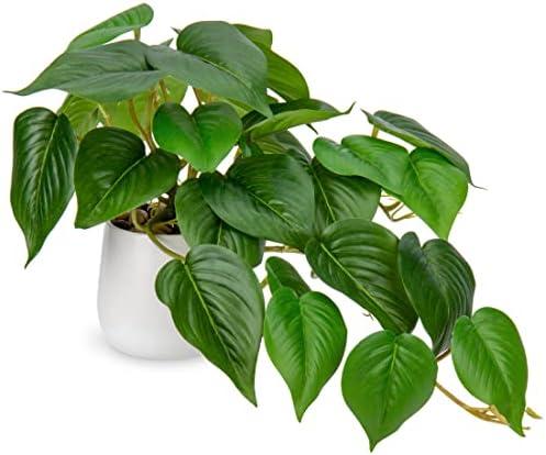 DILATATA Fake Plants Indoor 8 Inch Artificial Pothos Plant in White Ceramic Pot - Faux Potted Pothos Plant for Home Aesthetic Decor Living Room Shelf Office