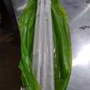 MRGARDEN 7-Feet Adjustable Garden Trellis Set for Raspberry and Climbing Plants, Outdoor Stake Vineyard Trellis, Pack of 4