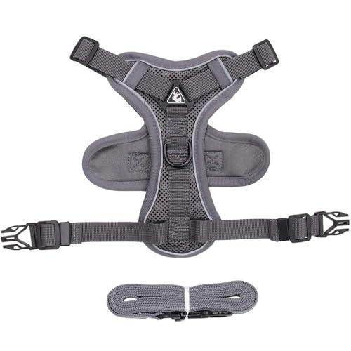 GUPEA Cat Harness with 1.5m Traction Leash for Small Medium Dog No Pull Breathable Reflective Adjustable L