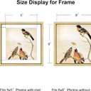6x6 Picture Frame, Brass Metal Photo Frames with HD Glass, Fits 5x5 with Mat or 6 x 6 without Mat, Display for Wall and Table, 1 Pack
