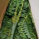 35” Artificial Boston Fern Bush Plant, 2 Faux Ferns for Outdoors Large, Fake Ferns Realistic Artificial Plants with 39 Fronds for Garden Porch Patio Home Office Living Room Decor Green