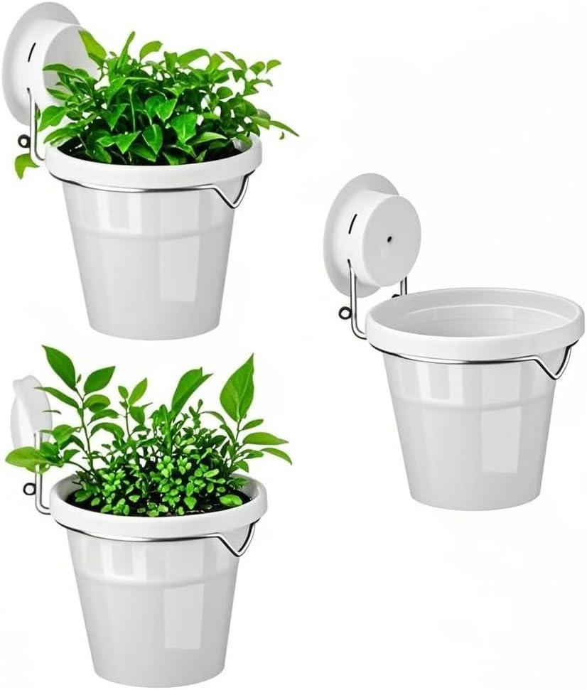 VirgoLeo Set of 3 Plastic Window Planter with Suction Cup Holder. Large Window Popagation. Clear Self Watering Window Mounted Plant Pots. Window Sill Planters Extender for Indoor Hydroponic Plants