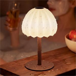 Hifree Rechargeable Waterproof Shower Lamp, IP65 Cordless Touch Dimmable Small Light for Inside Shower, 4500mAh Battery Operated Color Changing Water Proof Table Lamp for Bathroom, Bedroom, Outdoor