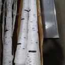 2-Pack 6FT Lighted Birch Tree with Timer, Total 520 LED Tree Lights